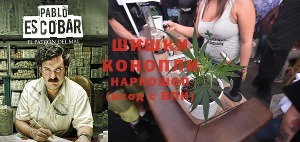 гидра Алзамай