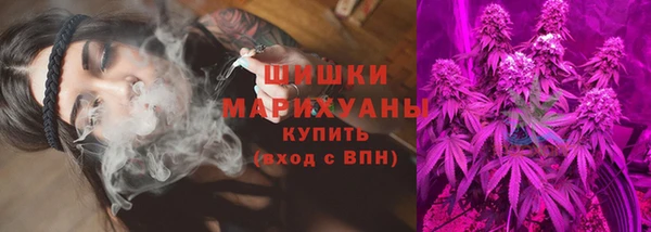 гидра Алзамай